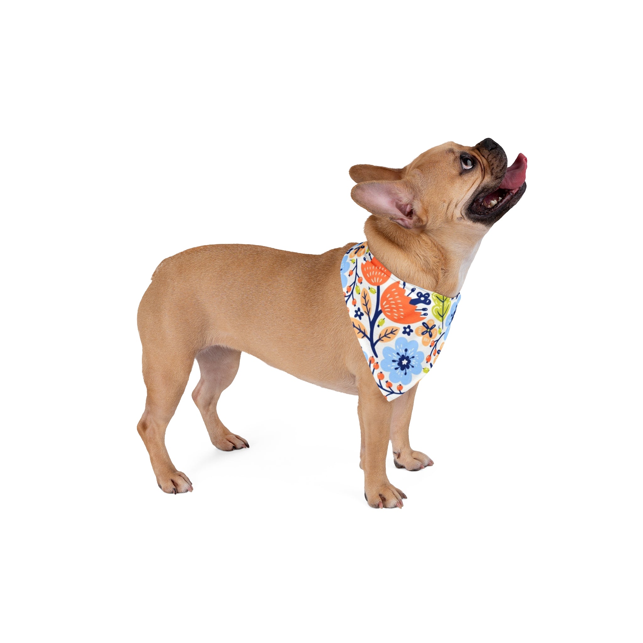 Pet Bandana